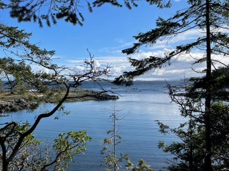 Coastal View