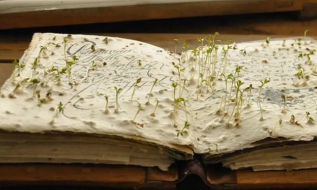 Growing Book
