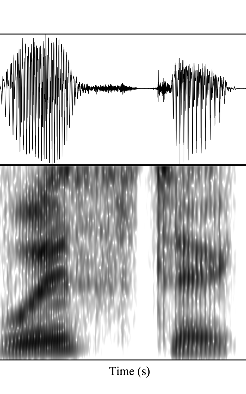 linguistics